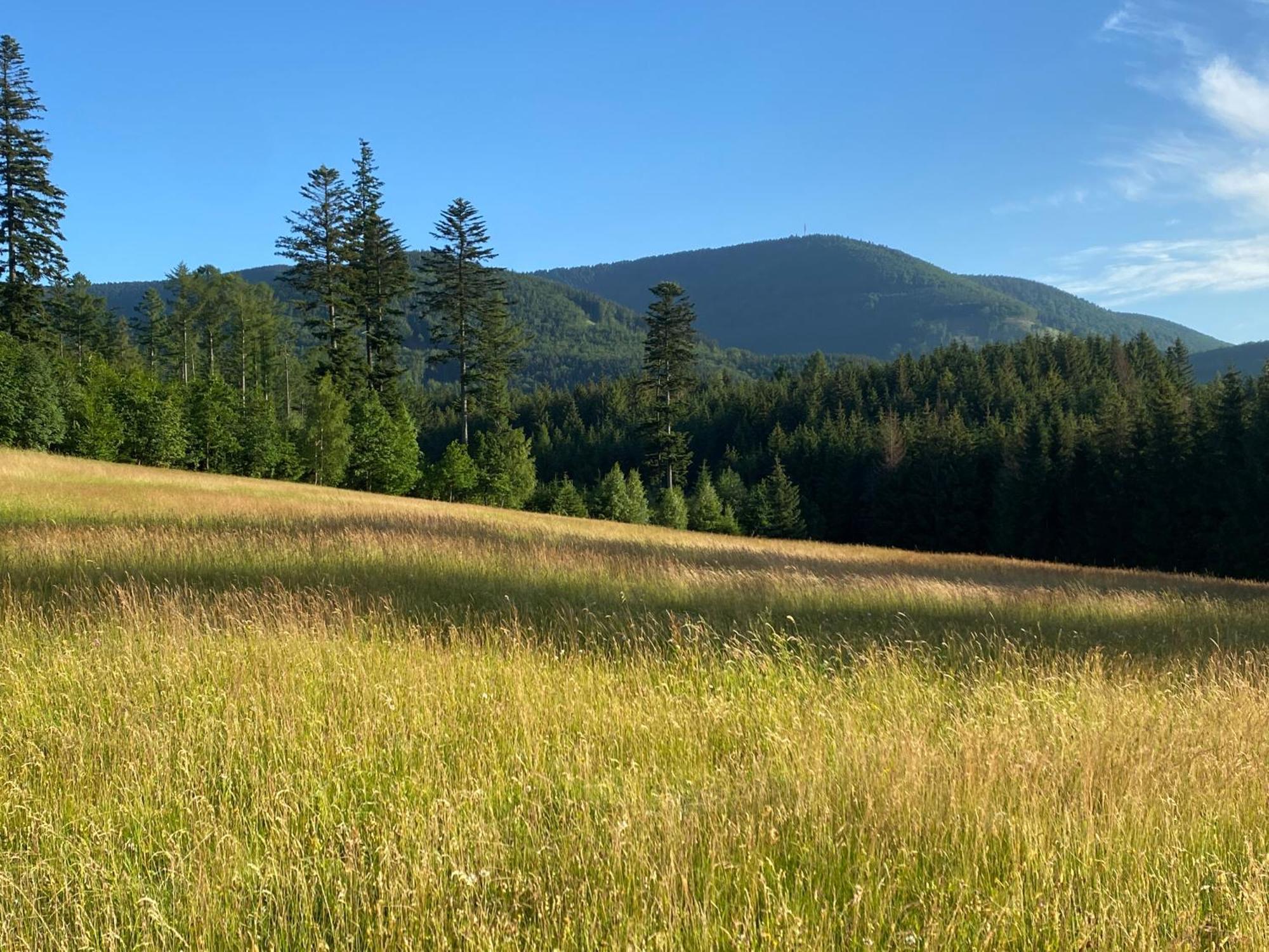 Horská chata Chata Trojanovice Trojanovice